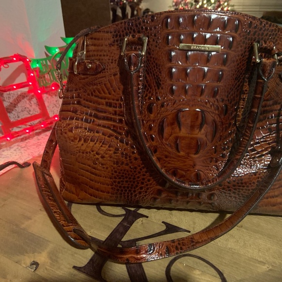 BRAHMIN - Picture 2 of 6